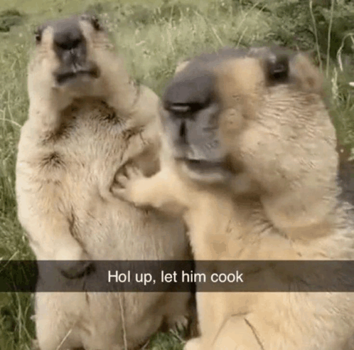 let-him-cook-cook